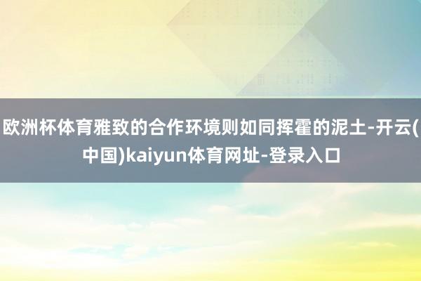 欧洲杯体育雅致的合作环境则如同挥霍的泥土-开云(中国)kaiyun体育网址-登录入口