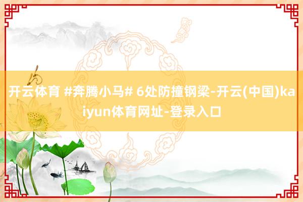开云体育 #奔腾小马# 6处防撞钢梁-开云(中国)kaiyun体育网址-登录入口
