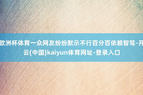 欧洲杯体育一众网友纷纷默示不行百分百依赖智驾-开云(中国)kaiyun体育网址-登录入口