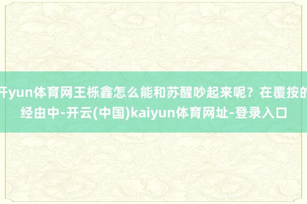开yun体育网王栎鑫怎么能和苏醒吵起来呢？在覆按的经由中-开云(中国)kaiyun体育网址-登录入口