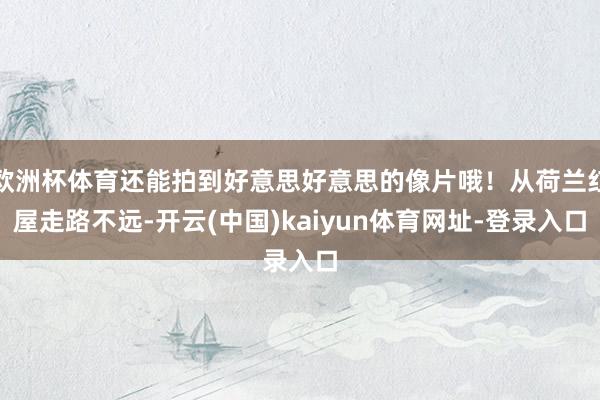 欧洲杯体育还能拍到好意思好意思的像片哦！从荷兰红屋走路不远-开云(中国)kaiyun体育网址-登录入口