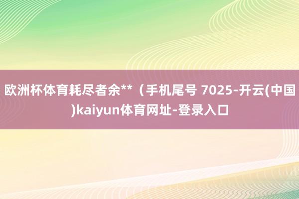 欧洲杯体育耗尽者余**（手机尾号 7025-开云(中国)kaiyun体育网址-登录入口
