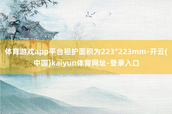 体育游戏app平台袒护面积为223*223mm-开云(中国)kaiyun体育网址-登录入口