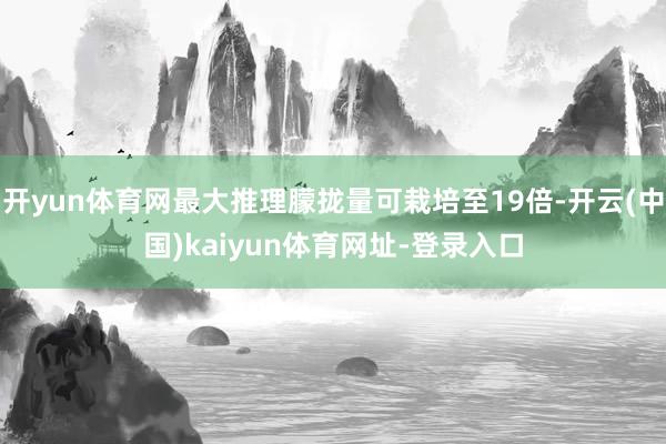 开yun体育网最大推理朦拢量可栽培至19倍-开云(中国)kaiyun体育网址-登录入口